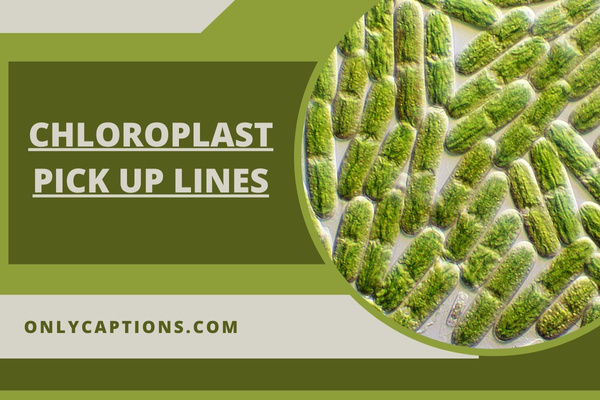 Chloroplast Pick Up Lines-OnlyCaptions