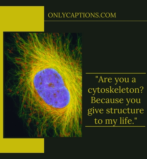 Funny Cytoskeleton Pick Up Lines (2023)