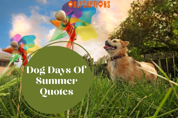 Dog Days Of Summer Quotes 2-OnlyCaptions