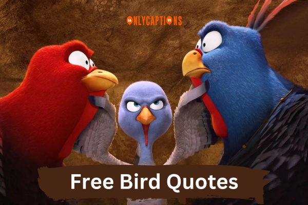 Free Bird Quotes 1-OnlyCaptions