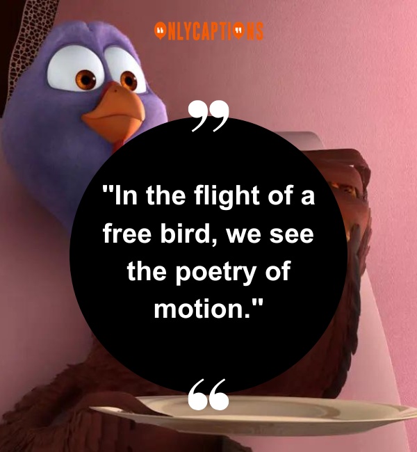 Free Bird Quotes 2 2-OnlyCaptions