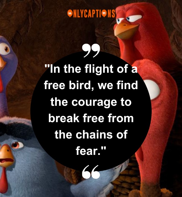 Free Bird Quotes 2-OnlyCaptions