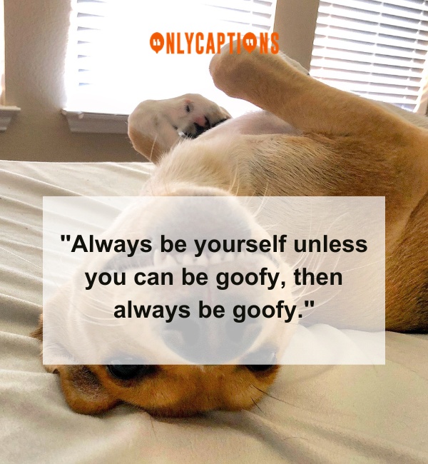 Goofiness Quotes 2-OnlyCaptions