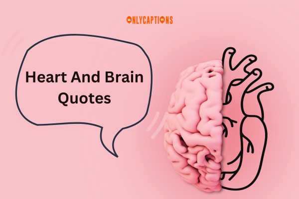 Heart And Brain Quotes (2024)