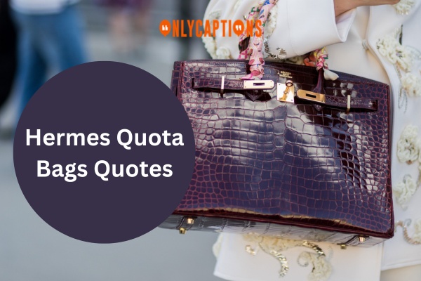 Hermes Quota Bags Quotes 1-OnlyCaptions