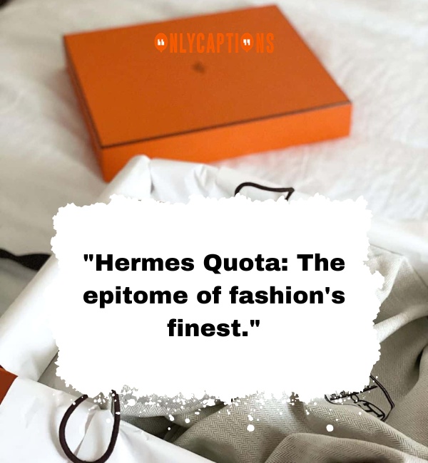 Hermes Quota Bags Quotes 2 1-OnlyCaptions