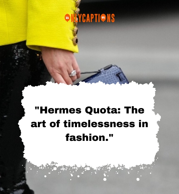 Hermes Quota Bags Quotes 3-OnlyCaptions