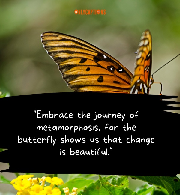 Instagram Unique Butterfly Quotes 2-OnlyCaptions