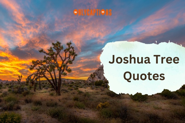 Joshua Tree Quotes (2024)