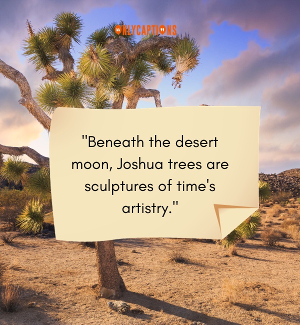 Joshua Tree Quotes 2-OnlyCaptions