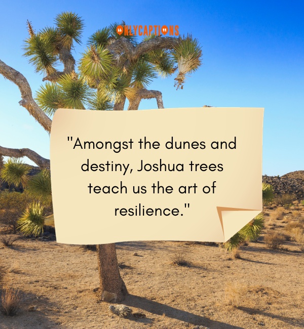 Joshua Tree Quotes 3-OnlyCaptions