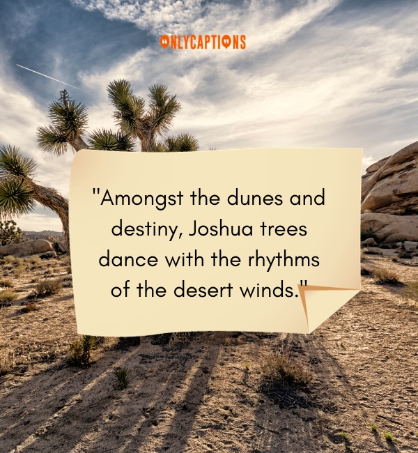Joshua Tree Quotes 4-OnlyCaptions