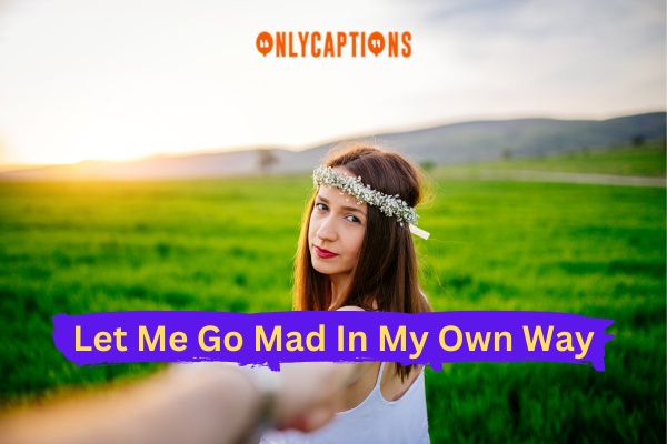 Let Me Go Mad In My Own Way Quotes (2023)