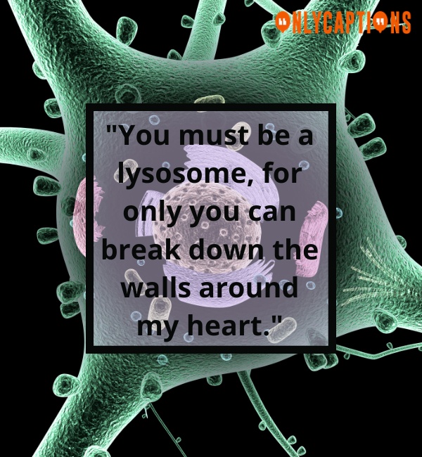 Cute Lysosome Pick Up Line (2024)