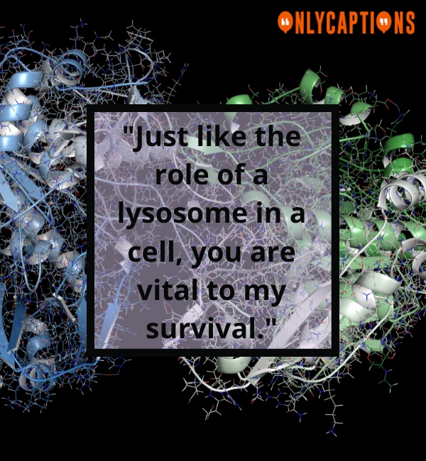 Lysosome Pick Up Lines For Her (Girls)
