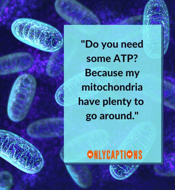 Cheesy Mitochondria Pick Up Lines (2023)