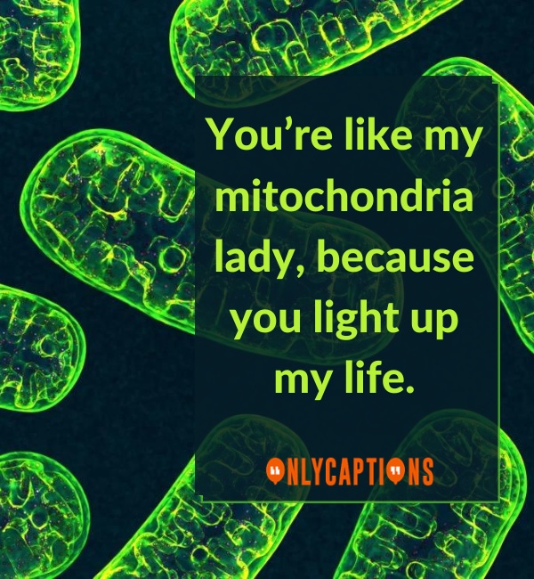 Mitochondria Pick Up Lines For Her (Girls)