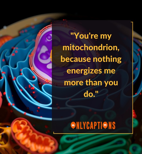 Funny Mitochondria Pick Up Lines (2023)