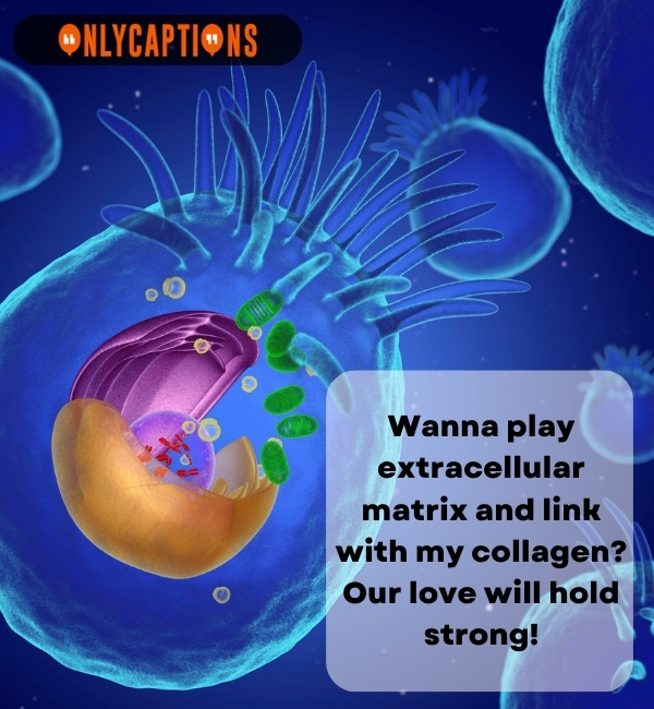 Funny Organelle Pick Up Lines (2024)