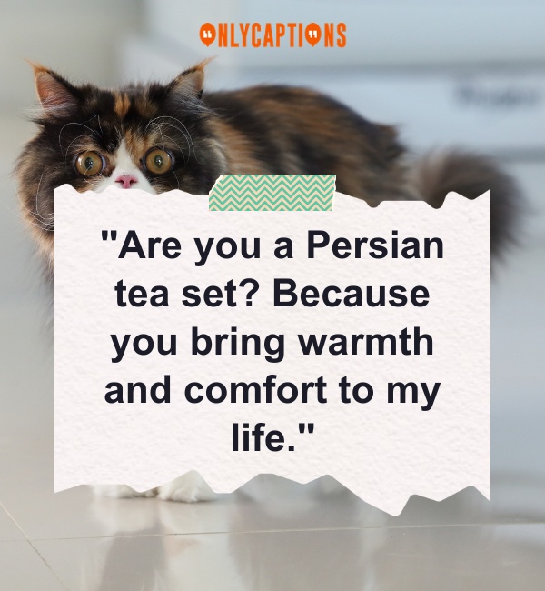 Persian Pick Up Lines 2-OnlyCaptions