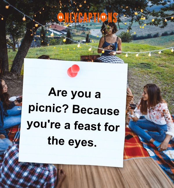 Picnic Pick Up Lines 5-OnlyCaptions