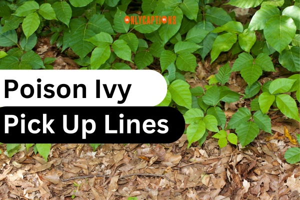 Poison Ivy Pick Up Lines (2024)