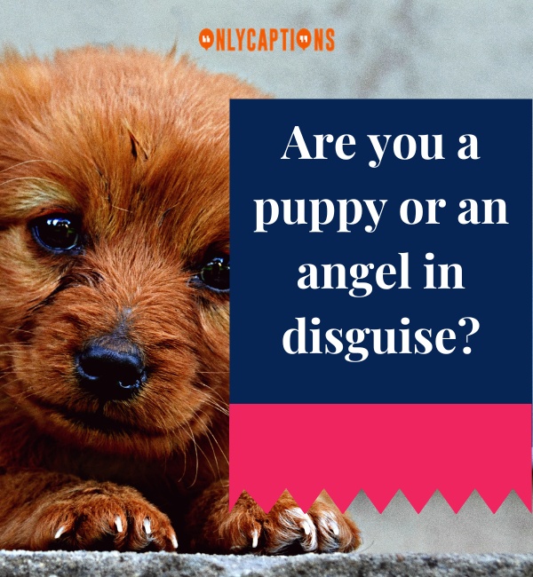 Puppy Pick Up Lines 4-OnlyCaptions