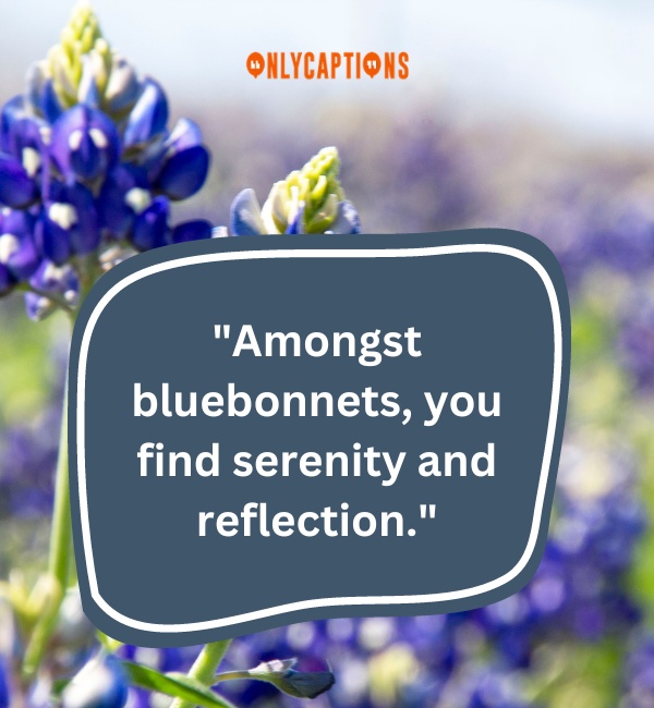 Quotes About Bluebonnets 3-OnlyCaptions