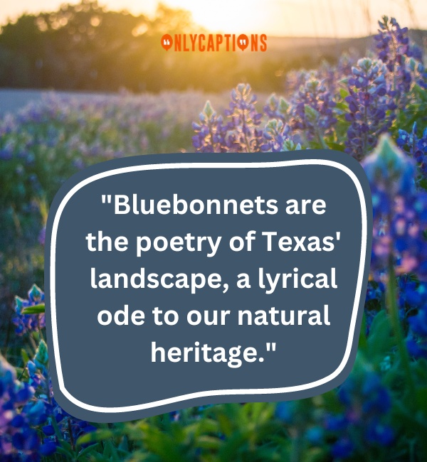 Quotes About Bluebonnets 4-OnlyCaptions