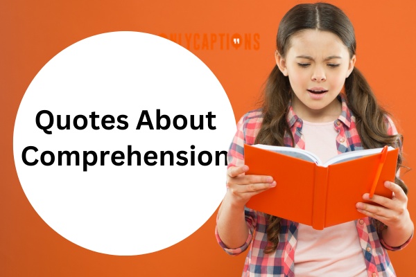 Quotes About Comprehension (2024)