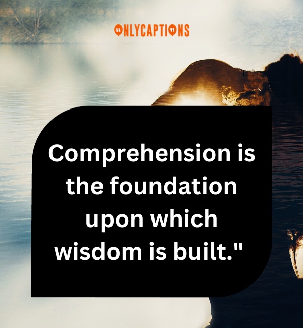 Quotes About Comprehension 3-OnlyCaptions