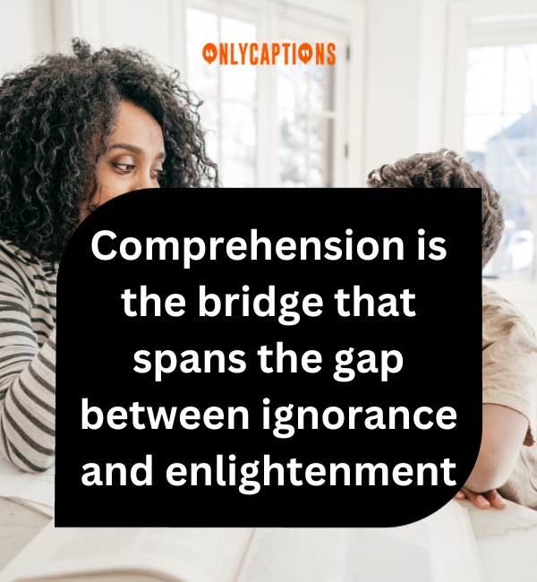 Quotes About Comprehension-OnlyCaptions