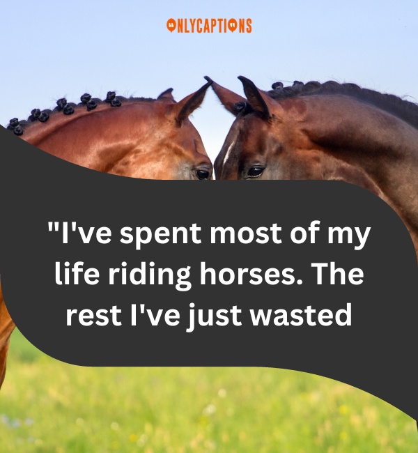 Quotes About Loving Horses 1-OnlyCaptions