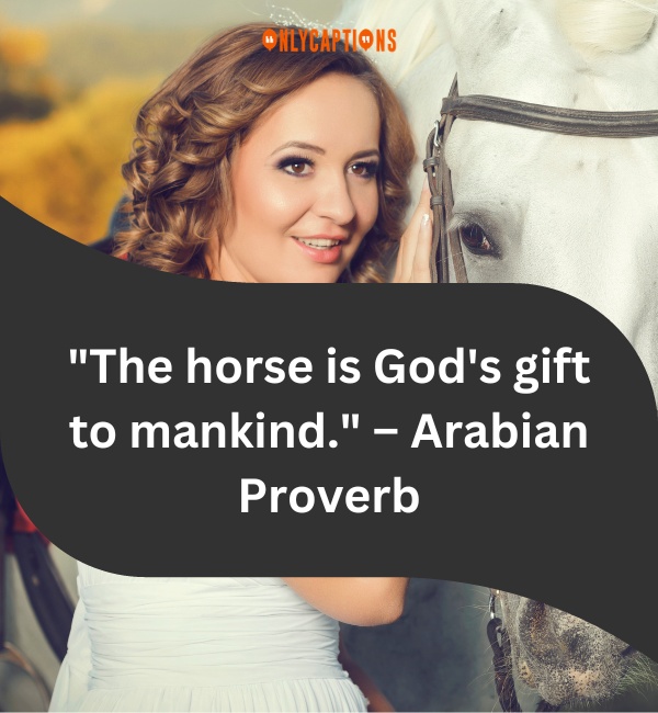 Quotes About Loving Horses 3-OnlyCaptions