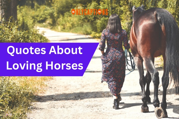 Quotes About Loving Horses (2023)
