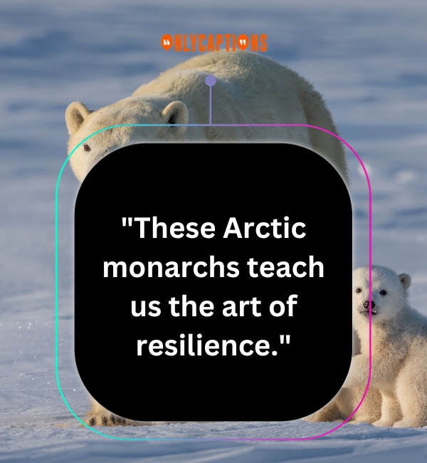 Quotes About Polar Bears 1-OnlyCaptions