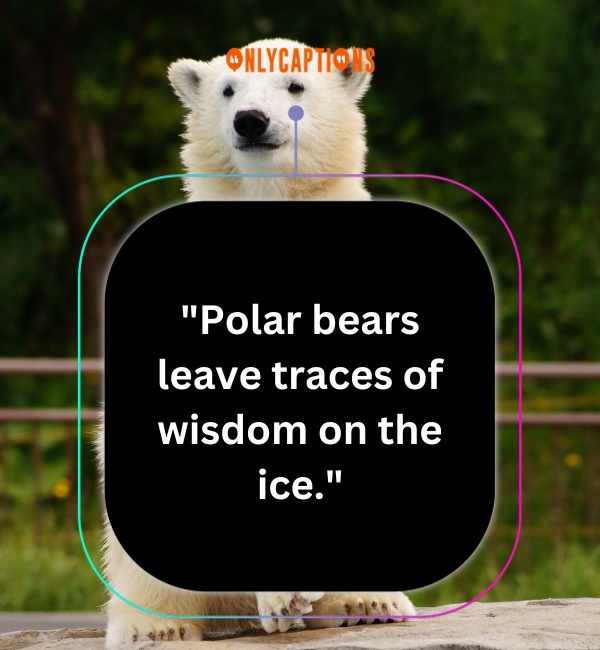 Quotes About Polar Bears 3-OnlyCaptions