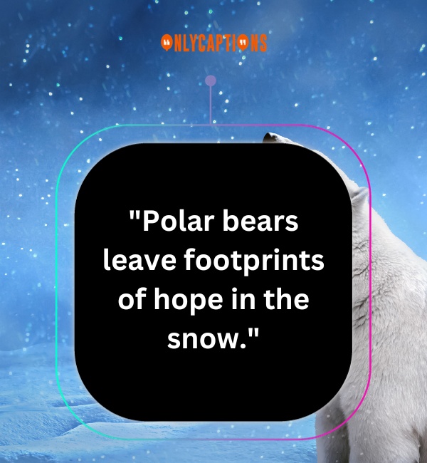 Quotes About Polar Bears 4-OnlyCaptions