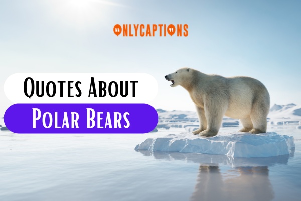 Quotes About Polar Bears (2023)