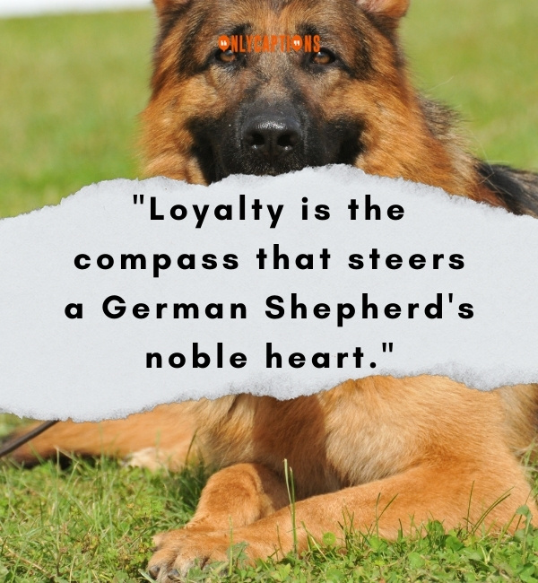 Quotes On German Shepherd 4-OnlyCaptions