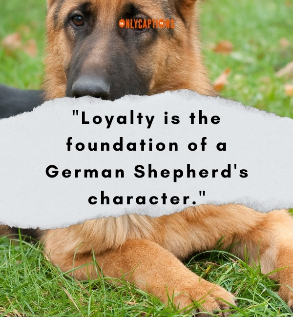 Quotes On German Shepherd-OnlyCaptions
