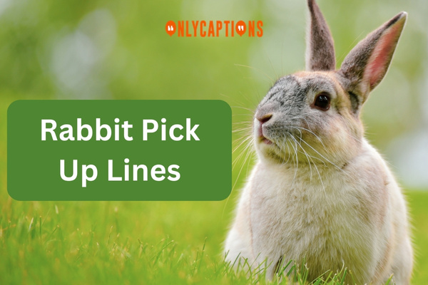 Rabbit Pick Up Lines (2023)