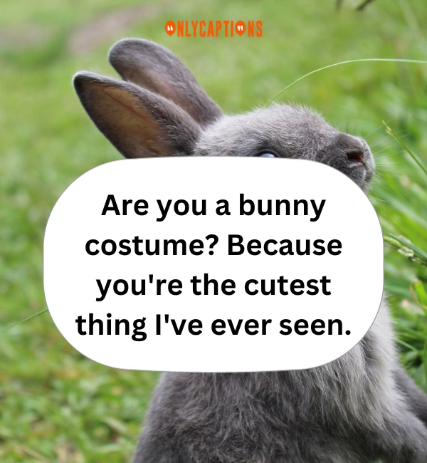 Rabbit Pick Up Lines 2-OnlyCaptions