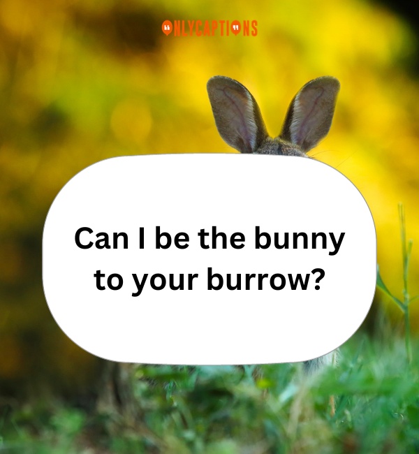 Rabbit Pick Up Lines 3-OnlyCaptions