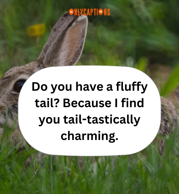 Rabbit Pick Up Lines 4-OnlyCaptions