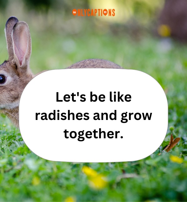 Rabbit Pick Up Lines 5-OnlyCaptions