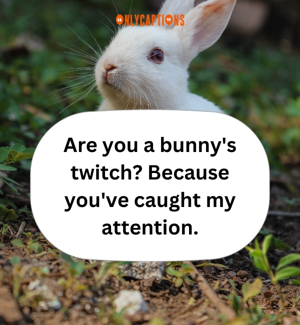 Rabbit Pick Up Lines 6-OnlyCaptions