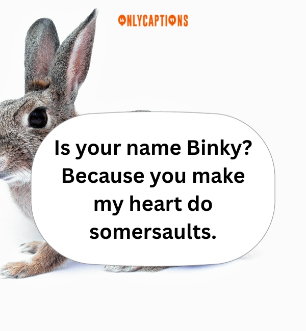 Rabbit Pick Up Lines 7-OnlyCaptions