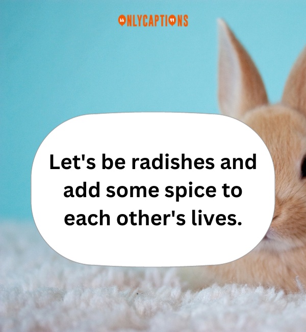 Rabbit Pick Up Lines 8-OnlyCaptions