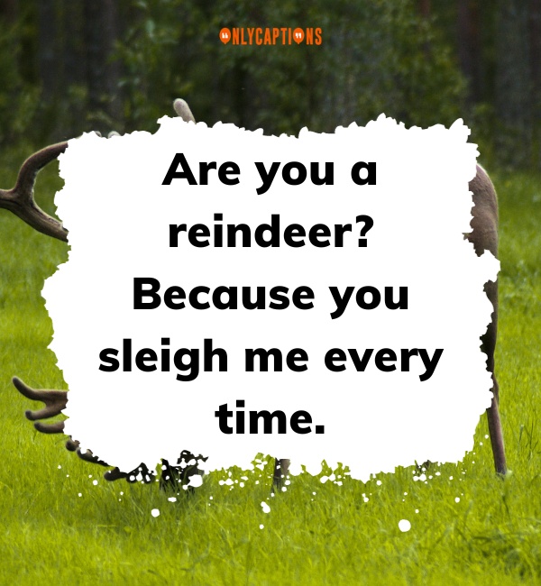 Reindeer Pick Up Lines 3-OnlyCaptions